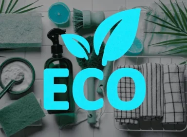 eco friendly Home cleaning services in Toronto